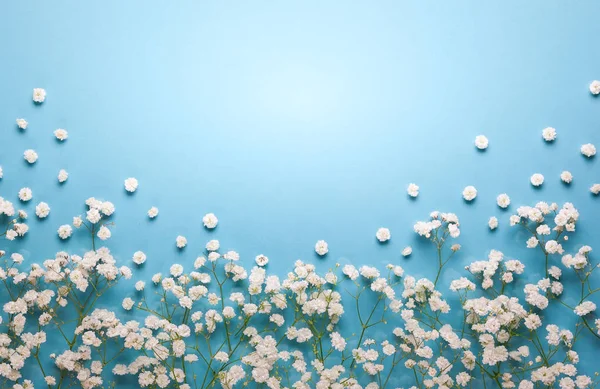 Vita Blommor Sammansättning Pastell Blå Bakgrund Med Kopia Utrymme Flat — Stockfoto