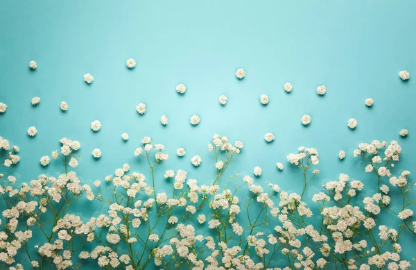 Komposition Weißer Blumen Auf Pastellblauem Hintergrund Mit Kopierraum Flacher Lagestil — Stockfoto