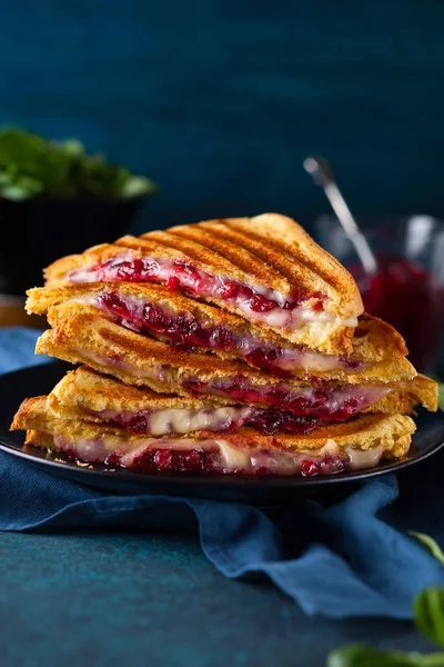 Grilled Sandwiches Cheese Ham Cranberry Chutney Plate Perfectly Idea Christmas — Stock Photo, Image