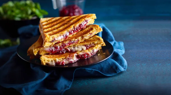 Grillowane Kanapki Serem Szynką Żurawiną Talerzu Idealny Pomysł Świąteczny Lunch — Zdjęcie stockowe