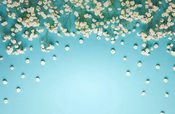 Komposition Weißer Blumen Auf Pastellblauem Hintergrund Mit Kopierraum Flacher Lagestil — Stockfoto