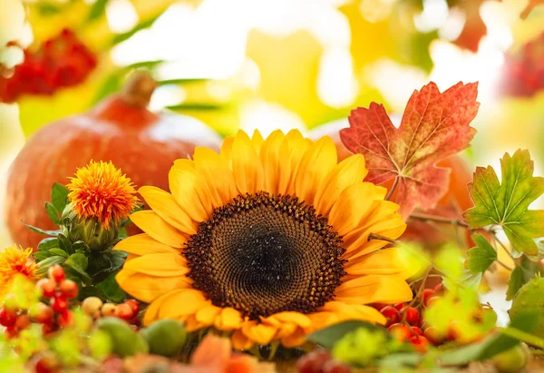 Jesień Martwa Natura Sezonowych Owoców Kwiatów Warzyw Podłoże Drewniane — Zdjęcie stockowe