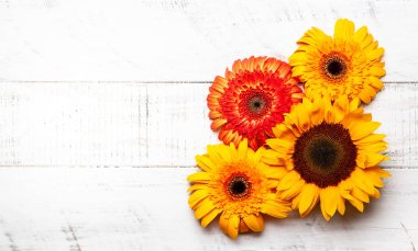 Güzel sarı ayçiçeği ve gerbera Beyaz ahşap zemin üzerinde. Kopya alanı ile üstten görünüm.