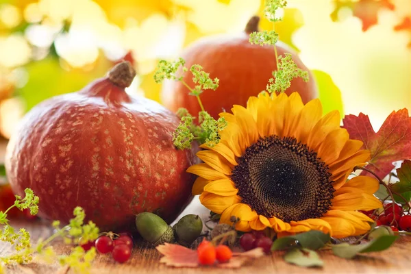 秋天静物与季节性果子 花和蔬菜在木背景 — 图库照片