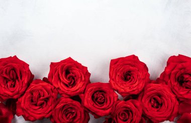 vintage beyaz-gri arka plan üzerinde kırmızı gül. Sevgililer günü için festival kavram. Kopya alanı ile üstten görünüm.