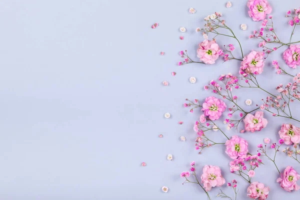 春花の組成は 明るいパステル調の背景にピンクの花を新鮮な作られています お祝い花のコンセプトです コピー スペースとフラット横たわっていた トップ ビュー — ストック写真