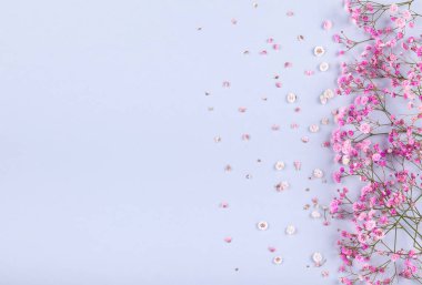 Açık pastel renkli taze pembe çiçekler bahar çiçek kompozisyon yapılmış. Festival çiçek kavramı. Kopya alanı düz yatıyordu, en iyi manzaralı.