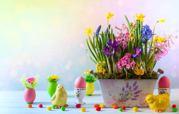 Fresh Beautiful Spring Flowers Vintage Pot Easter Decorations Wooden Table — Stock Photo, Image
