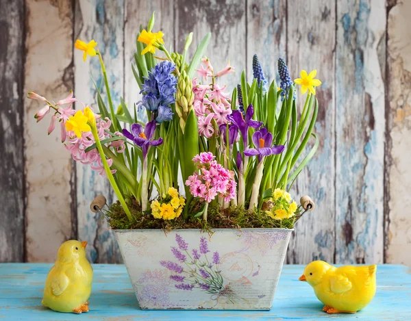 Fresh Beautiful Spring Flowers Vintage Pot Easter Decorations Wooden Table — Stock Photo, Image