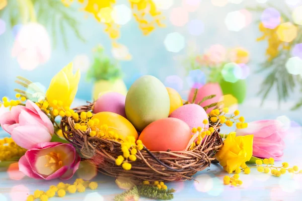 Pasen Decoratie Met Het Lentebloemen Kleurrijke Geverfde Eieren Nest — Stockfoto