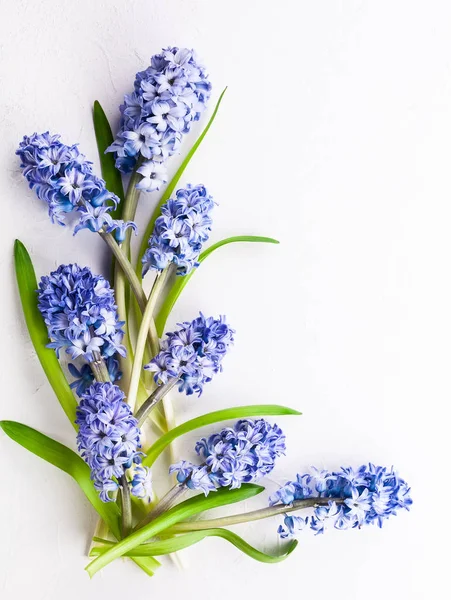 Composição Flores Com Jacintos Lilás Flores Primavera Fundo Branco Conceito — Fotografia de Stock