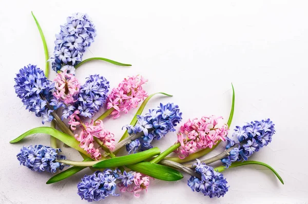 Flowers Composition Lilac Pink Hyacinths Spring Flowers White Background Easter — Stock Photo, Image