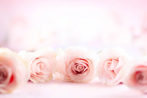 Festive Still Life Pink Roses Flower Composition Roses Soft Focus — Stock Photo, Image