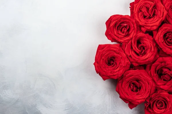 Κόκκινα Τριαντάφυλλα Εκλεκτής Ποιότητας Λευκό Γκρι Φόντο Εορταστική Αντίληψη Για — Φωτογραφία Αρχείου