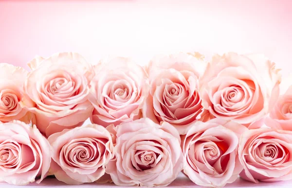 Праздничный Натюрморт Розовыми Розами Состав Цветов Розами Мягкий Фокус — стоковое фото