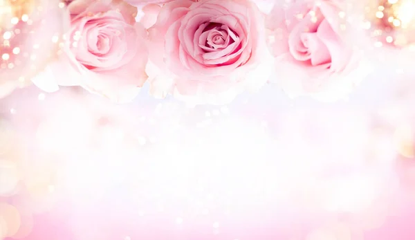 Vida Tranquila Festiva Com Rosas Rosa Composição Flor Com Rosas — Fotografia de Stock