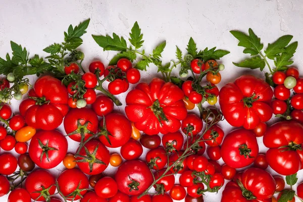 各种新鲜的西红柿绿色的叶子 顶视图 — 图库照片