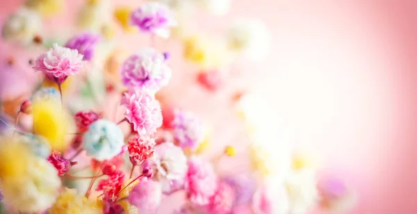 Frühling Oder Sommer Floralen Hintergrund Blühende Bunte Kleine Blumen Selektiver — Stockfoto