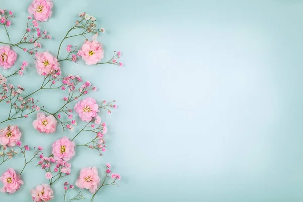 春花の組成は 明るいパステル調の背景にピンクの花を新鮮な作られています お祝い花のコンセプトです コピー スペースとフラット横たわっていた トップ ビュー — ストック写真