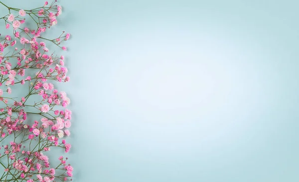Composizione Floreale Primaverile Fatta Fiori Rosa Freschi Sfondo Pastello Chiaro — Foto Stock