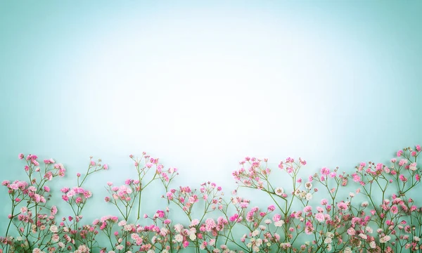 Frühling Florale Komposition Aus Frischen Rosa Blüten Auf Hellem Pastellhintergrund — Stockfoto