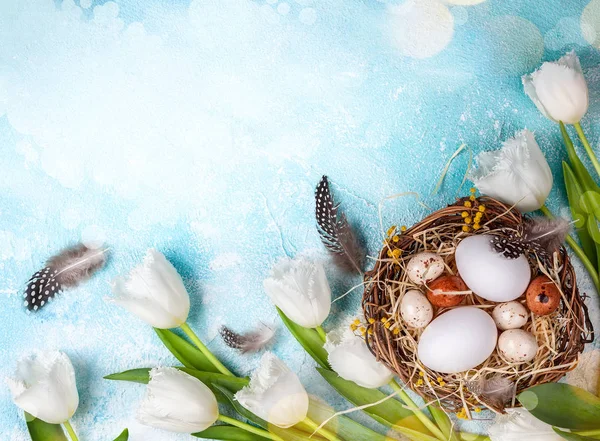Osterkomposition Mit Ostereiern Nest Und Weißen Tulpen Auf Blauem Hintergrund — Stockfoto