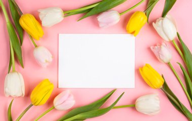 Güzel beyaz, pembe ve sarı lale çiçekleri pembe bir arka plan üzerinde. Bahar çiçek mutlu paskalya kartı ya da anneler günü için tatil. Düz yatıyordu, en iyi görünümü.