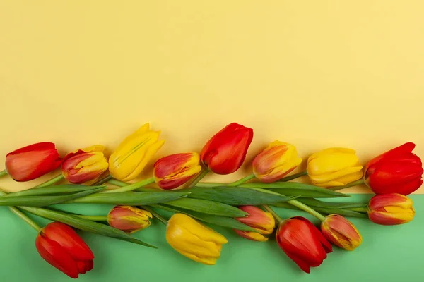 Piękne Tulipany Czerwone Żółte Kwiaty Wakacje Widok Góry Płaskie Leżał — Zdjęcie stockowe