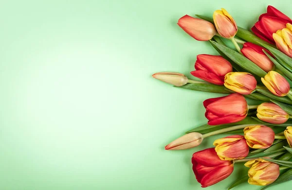 Piękne Czerwone Tulipany Zielone Tło Wakacje — Zdjęcie stockowe