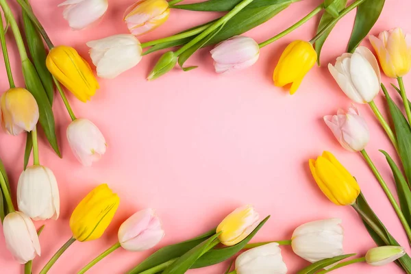 Piękne Tulipany Białe Różowe Żółte Kwiaty Różowym Tle Wiosna Kwiaty — Zdjęcie stockowe