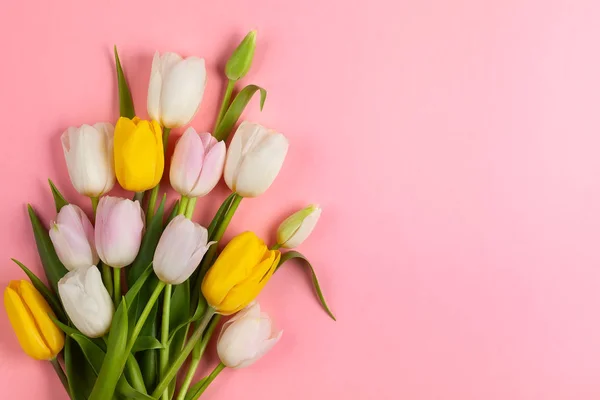 Piękne Tulipany Białe Różowe Żółte Kwiaty Niebieskim Tle Wiosna Kwiaty — Zdjęcie stockowe