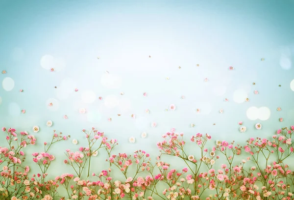 Blommig komposition med vårblommor till påsk — Stockfoto