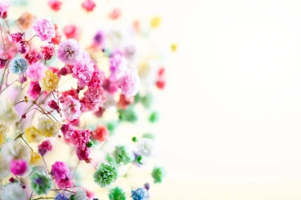 Ανοιξιάτικο ή καλοκαιρινό floral φόντο. Ανθισμένα πολύχρωμα μικρά ροής — Φωτογραφία Αρχείου