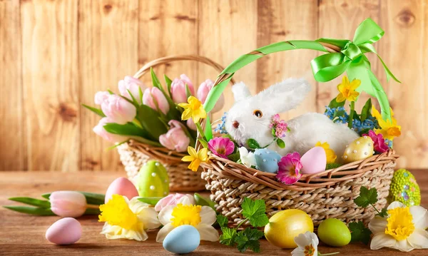 Osterkomposition mit Hase im Korb, Frühlingsblumen und Colo — Stockfoto
