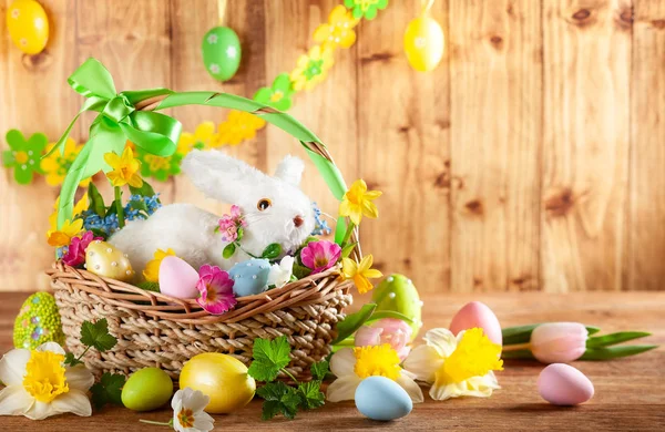 Easter composition with bunny in basket, spring flowers and colo — Stock Photo, Image