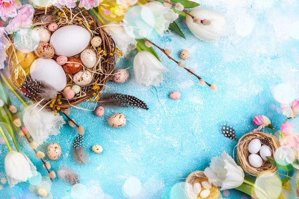 Composición de Pascua con huevos de Pascua en el nido, ramita de sauce coño — Foto de Stock