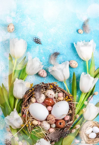 Composición de Pascua con huevos de Pascua en el nido, ramita de sauce coño — Foto de Stock