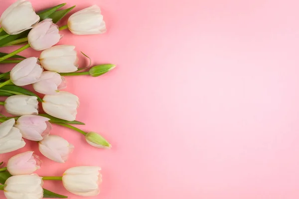 Schöne weiße und rosa Tulpen Blumen für den Urlaub. — Stockfoto