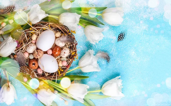 Composición de Pascua con huevos de Pascua en el nido, ramita de sauce coño — Foto de Stock