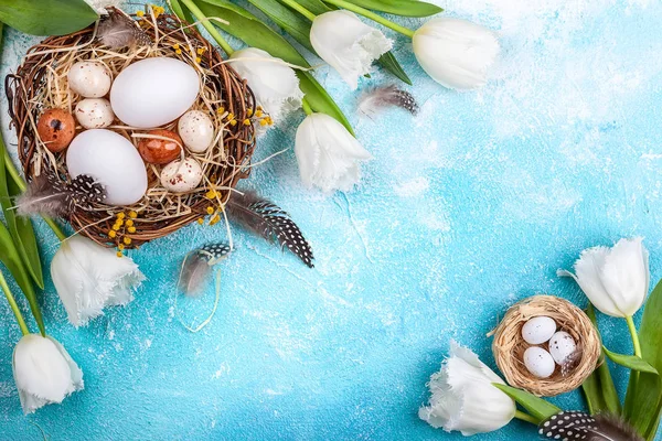 Easter composition with Easter eggs in nest and white tulips — Stock Photo, Image