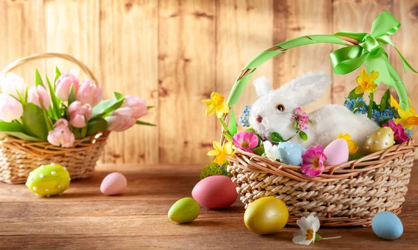 Osterkomposition mit Hase im Korb, Frühlingsblumen und Colo — Stockfoto