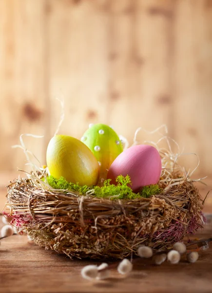 Easter composition with Easter eggs in nest and branches of puss — Stock Photo, Image