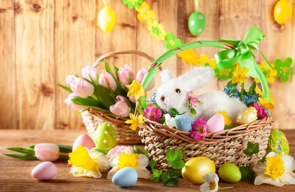 Easter composition with bunny in basket, spring flowers and colo