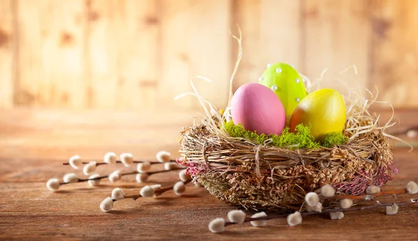 Easter composition with Easter eggs in nest and branches of puss — Stock Photo, Image