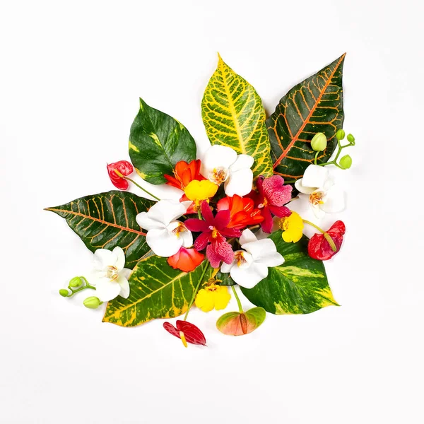 Composition with fresh tropical leaves and exotic flowers on whi — Stock Photo, Image