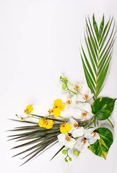 Composition with fresh tropical leaves and exotic flowers on whi — Stock Photo, Image