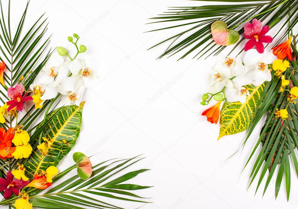Composition with fresh tropical leaves and exotic flowers on whi