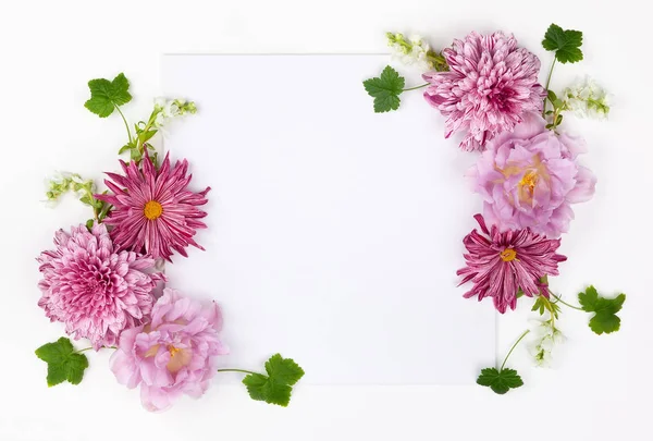 Hermosas flores rosadas sobre fondo blanco. — Foto de Stock