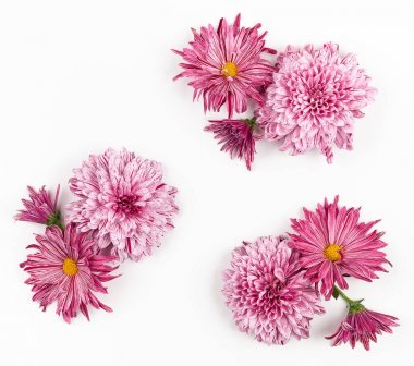 Beyaz arka planda güzel pembe çiçekler. 