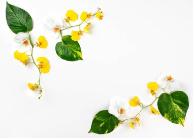 Taze tropikal yaprakları ve WHI üzerinde egzotik çiçekler ile kompozisyon